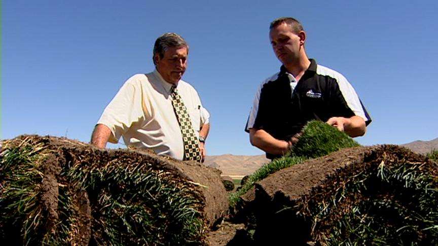 Sod Farm Shares Tips on How to Avoid Overwatering