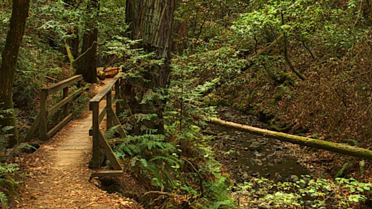 Kids' Stuff: Kids and Off-Road Vehicles (1)