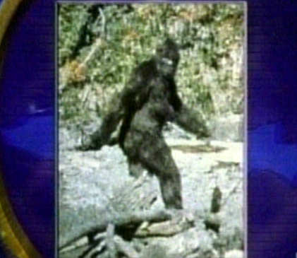 Search is on for Bigfoot