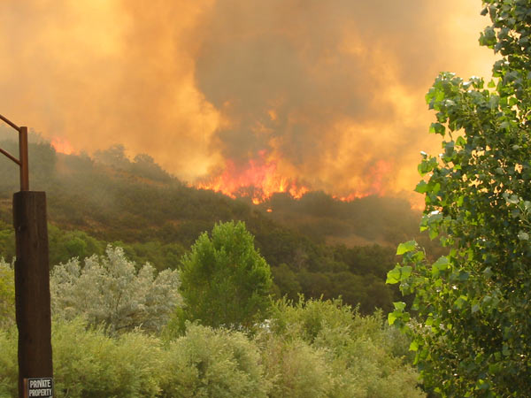 Fire Season On Track to Become Worst Fire Year