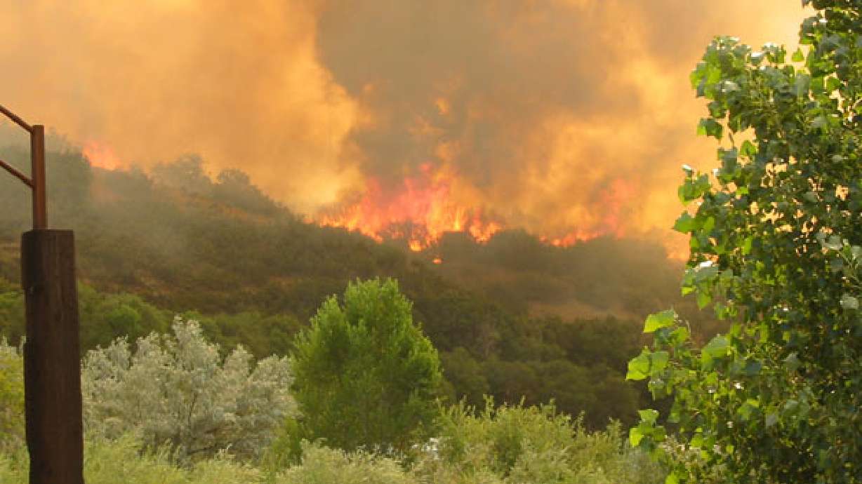 Fire Season On Track to Become Worst Fire Year