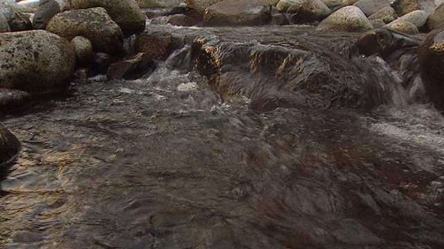 "Today" Show Tasters say Salt Lake City Water the Best