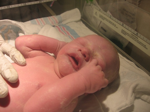 Provo police officer delivers baby