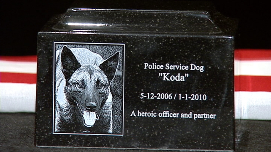 New police dog joins Midvale department