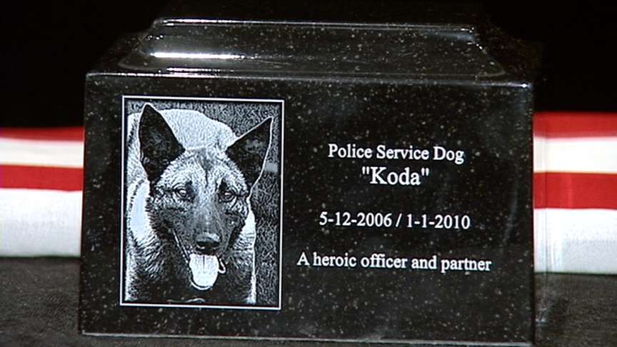 New police dog joins Midvale department