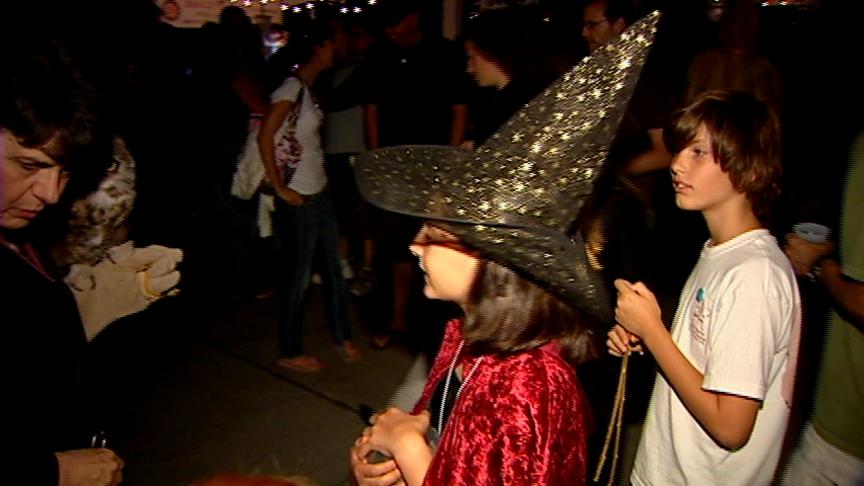 The Wait is Over for Harry Potter Fans