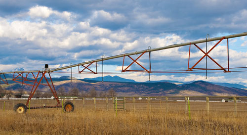 Residents cautioned after oil found in Cache County canal