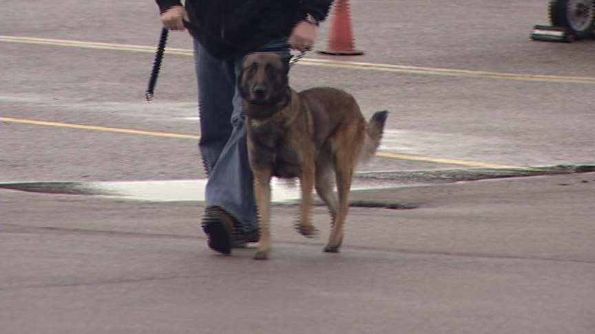 New police dog joins Midvale department
