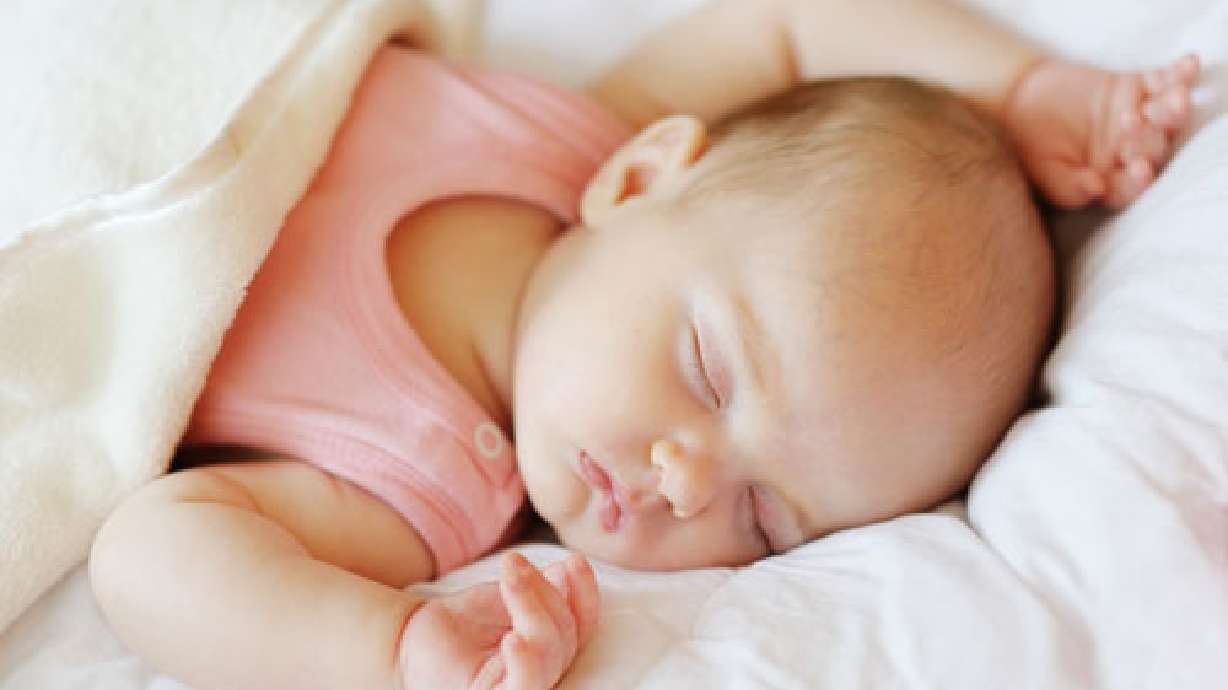 Utah fertility rate highest in country