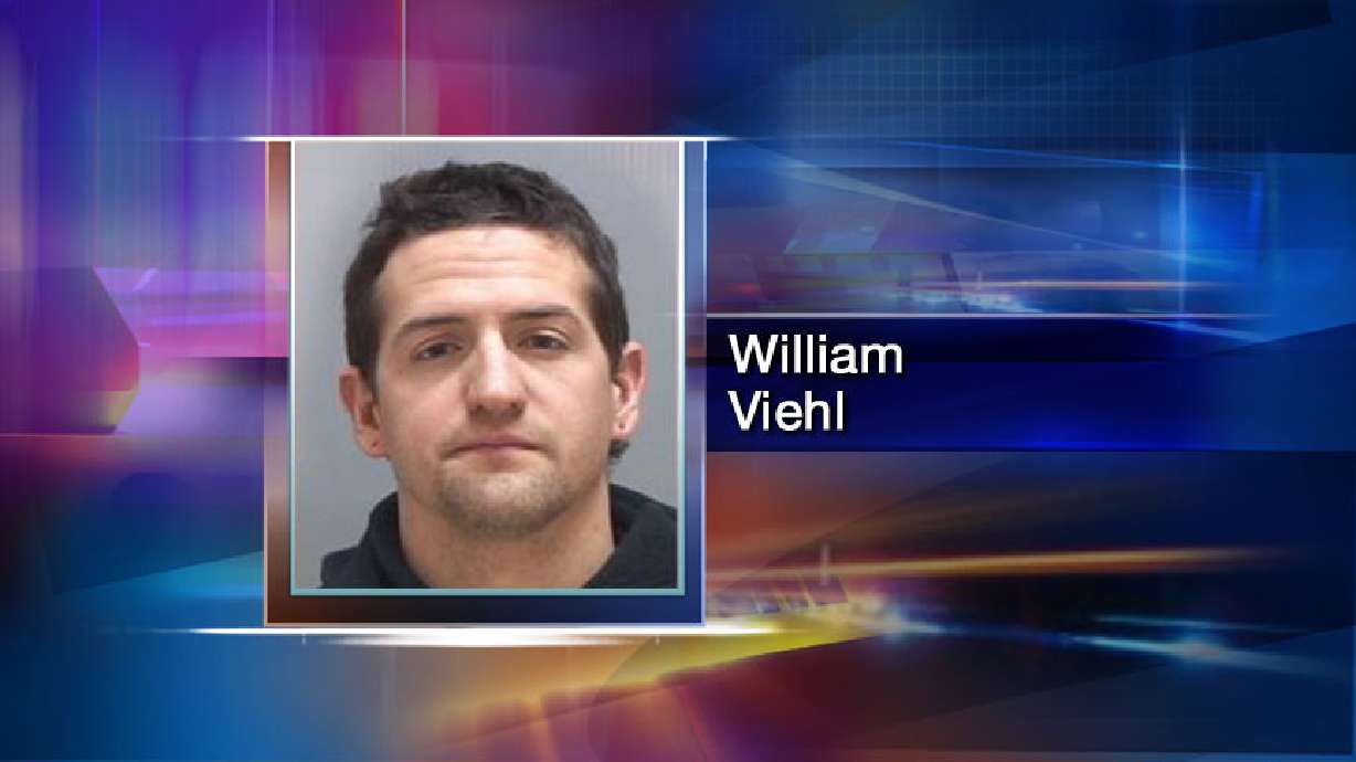 Mink farm vandal sentenced to prison