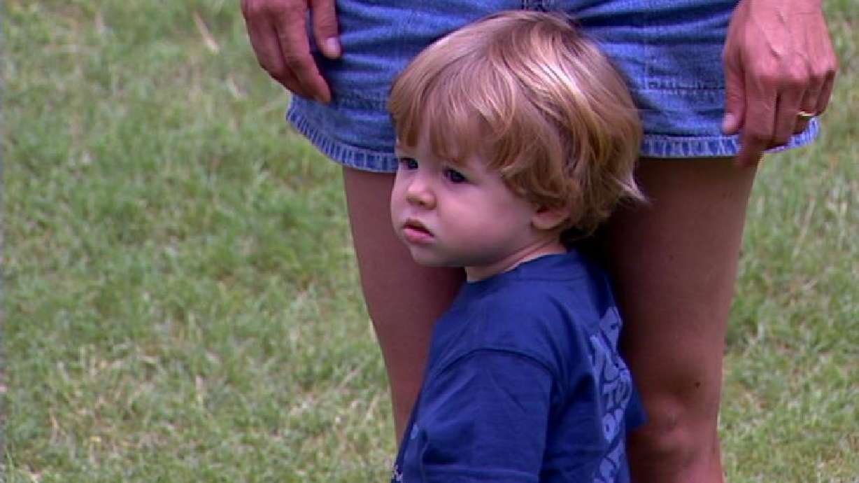 Case of Rabies Confirmed in Salt Lake County