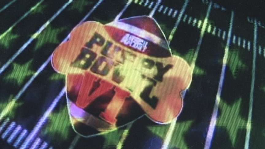 Bordner will voice Animal Planet's popular "Puppy Bowl VI" on Super Bowl Sunday.