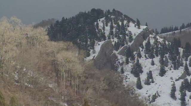 Backcountry skiers triggered two separate slides up Mill Creek Canyon Sunday.