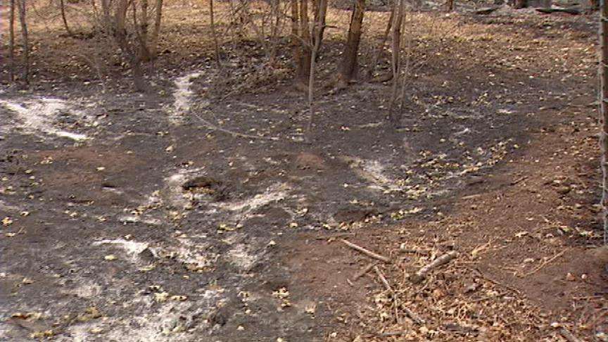 Wildfires Will Hurt Wildlife in Utah