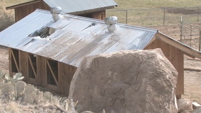 A rock sitting in Michelle Reese's yard, stopped the falling rock from rolling through her home Thursday.