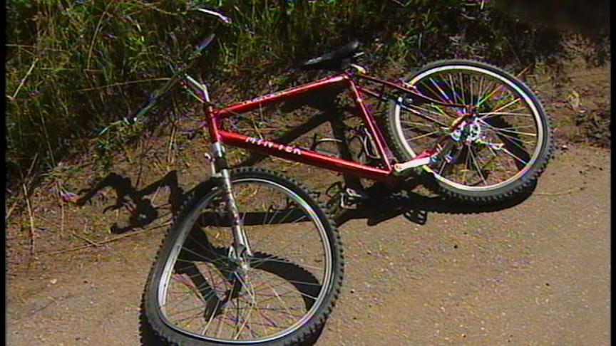Police Look for Hit-and-Run Suspect