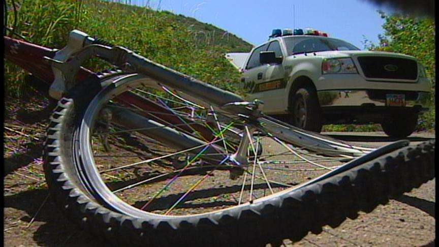 Citizen Tip Helps Police Make Arrest in Hit-and-Run