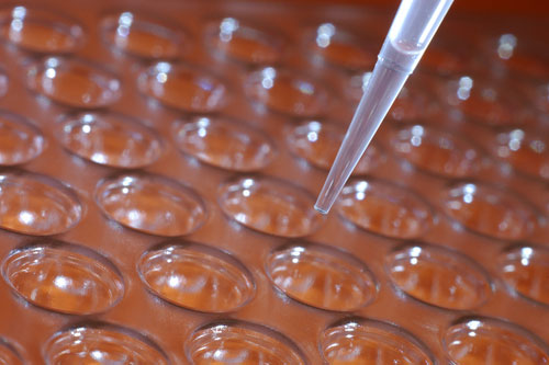 The 'almost forgotten' field in health care