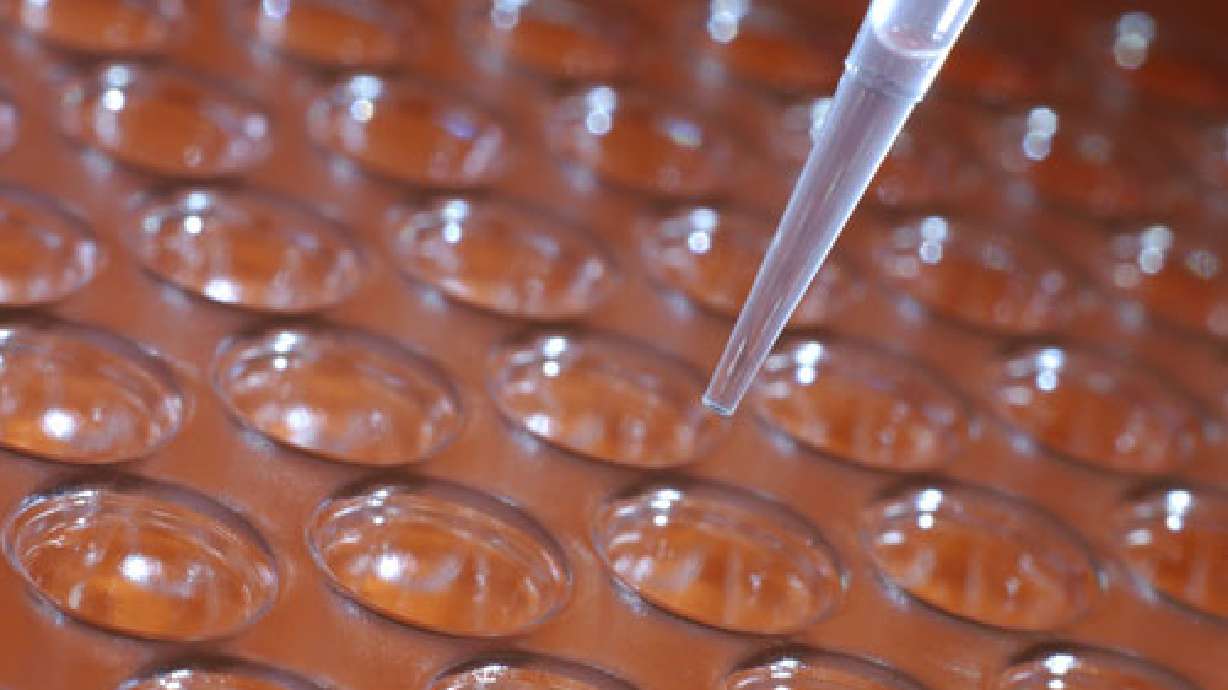 Only 12 test positive in Utah welfare drug screening