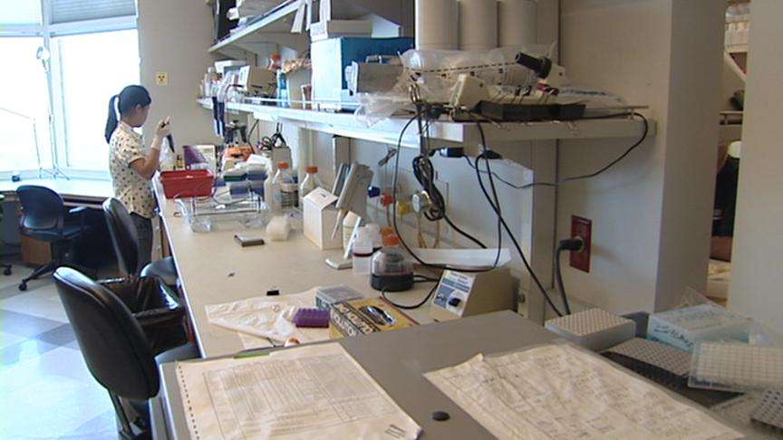 Study Links Mother's Diet to Child's Vulnerability for Disease