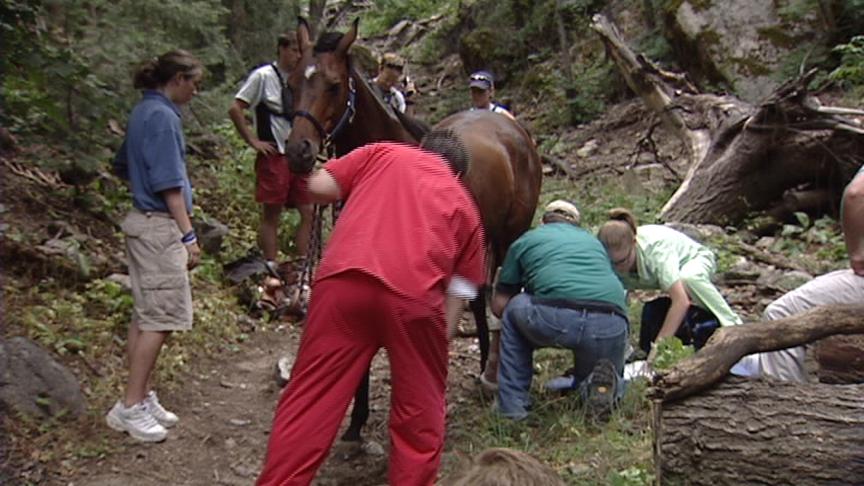 Woman Falls Down Mountain While Horseback Riding