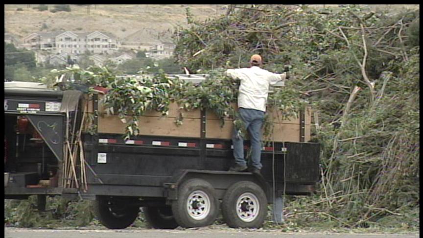 Plenty to Clean Up Remains From Tuesday's Storm