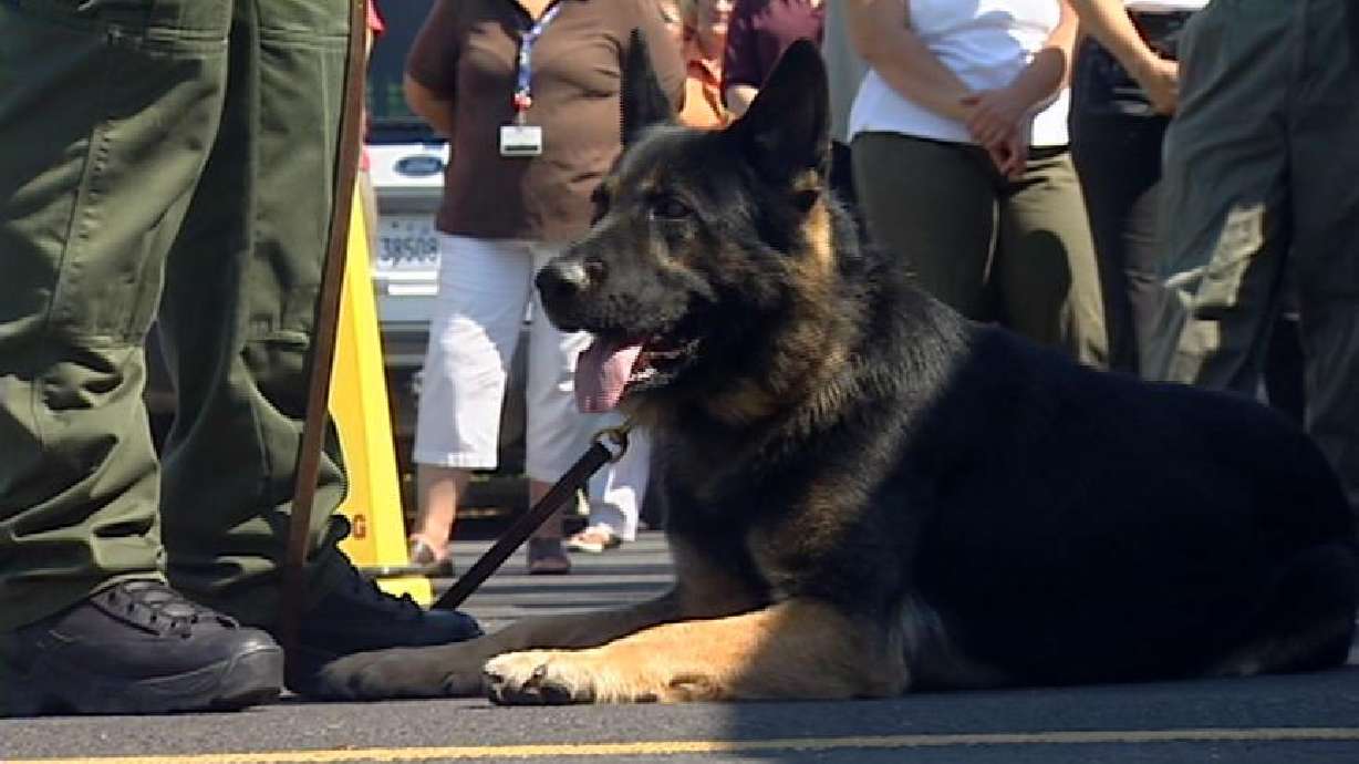 Funds for Police Dog Donated to Utah County