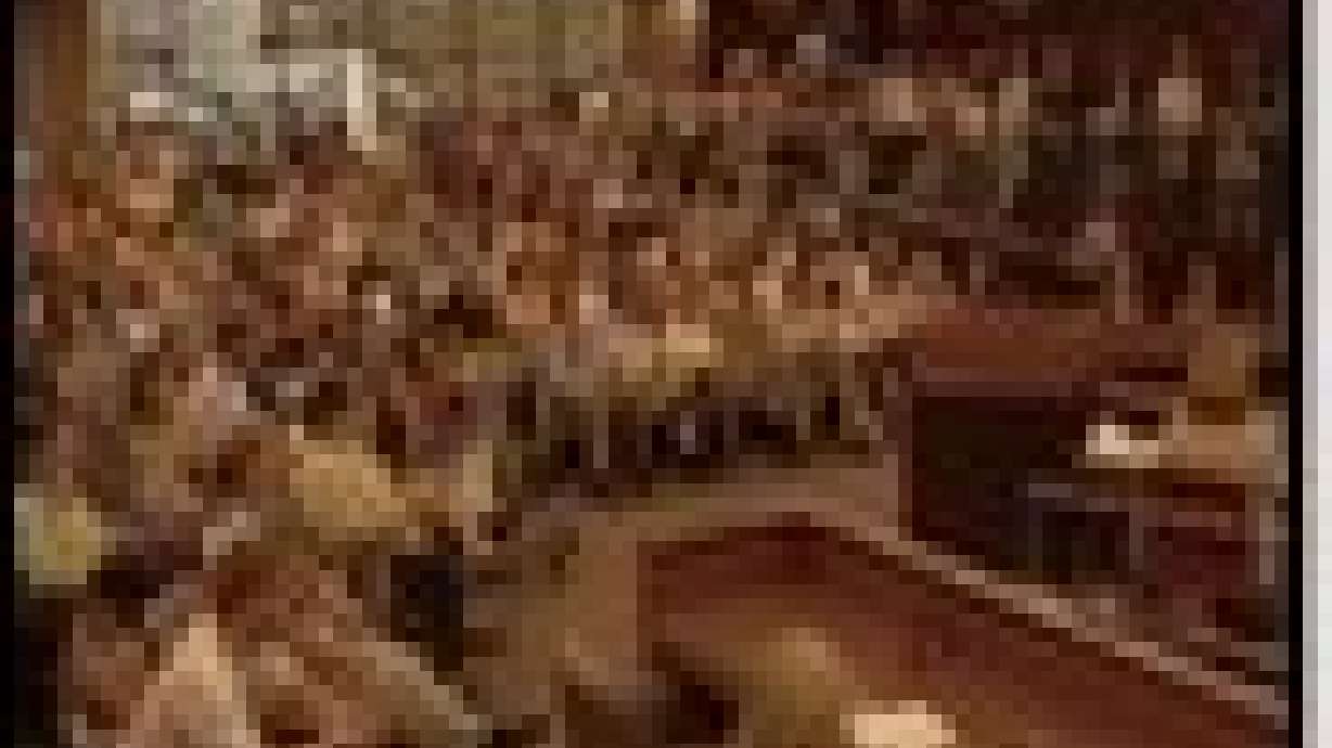 Public Voices Opinion On District Split. What do you think?