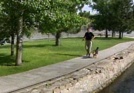 Pet Detective on the Hunt for Lost Pets