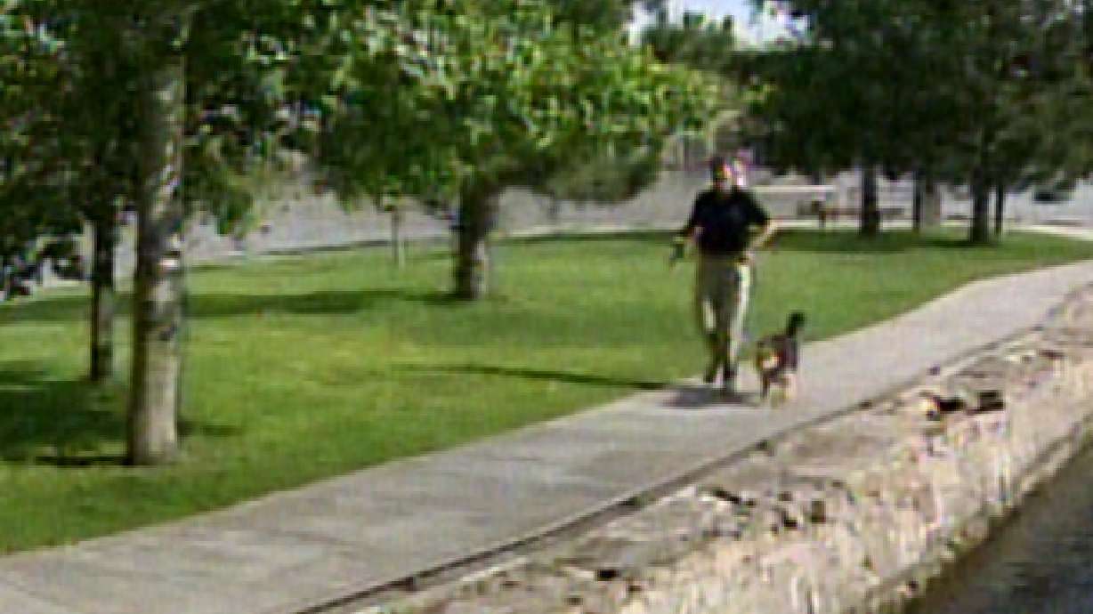 Pet Detective on the Hunt for Lost Pets