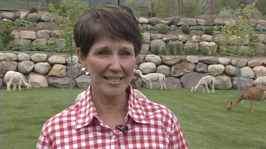 Woman Finds Joy in Alpaca Farm