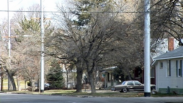 Logan Light and Power won't have to paint poles