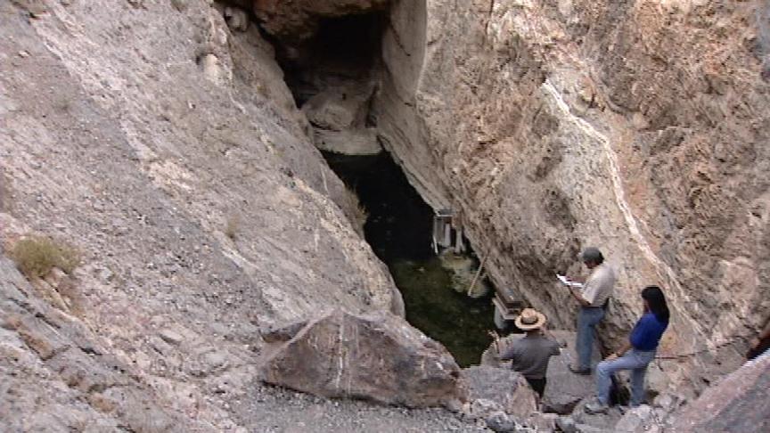 Casino Attempting to Save Endangered Pupfish