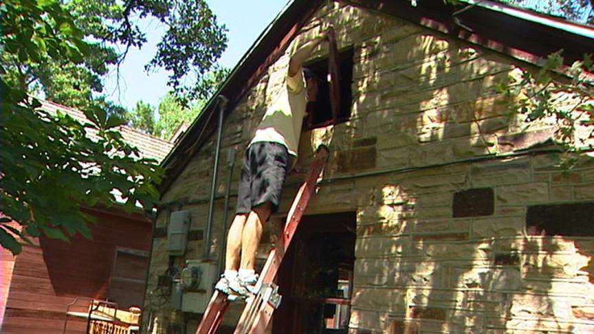 Raccoons Becoming More of a Problem for Homeowners