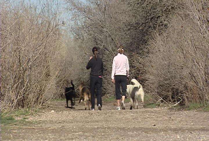 Salt Lake City proposing leash restrictions for nature park