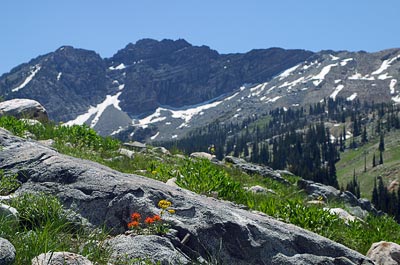 Scientists test brain activity in the wild