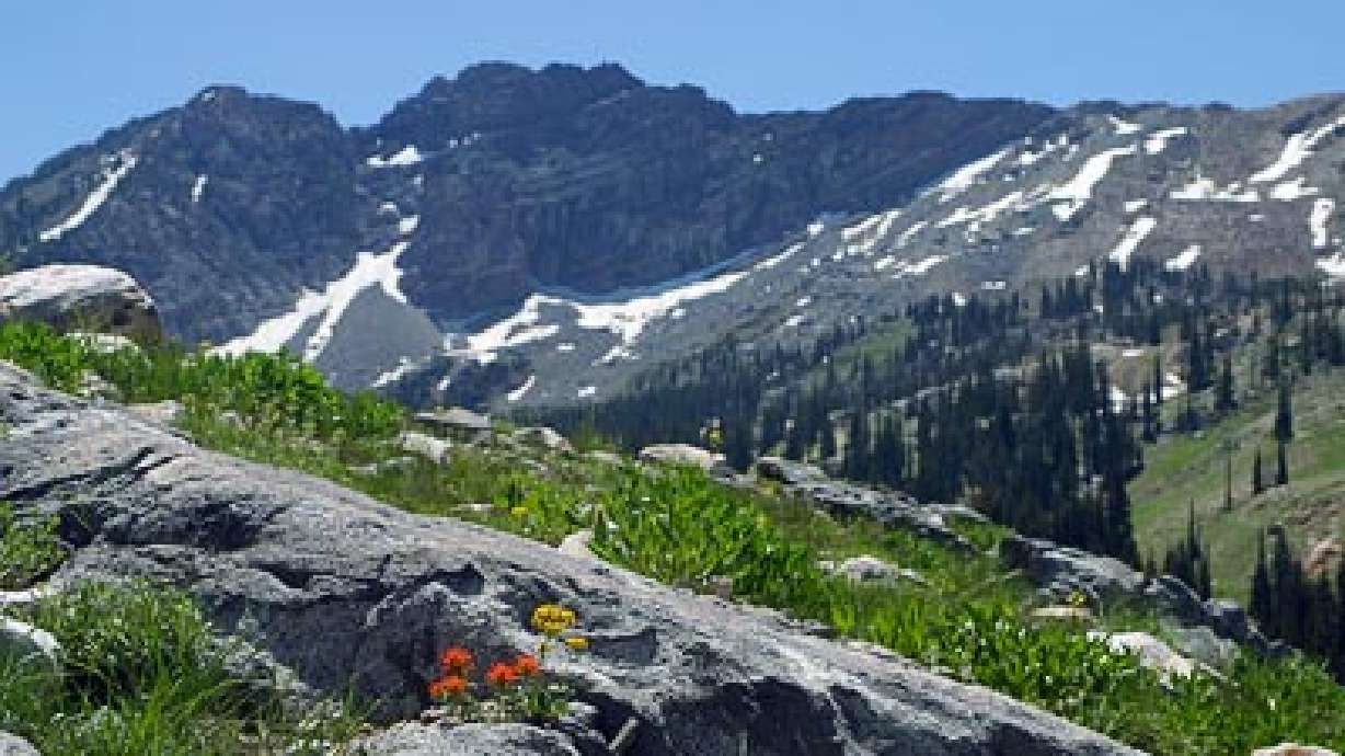 Scientists test brain activity in the wild