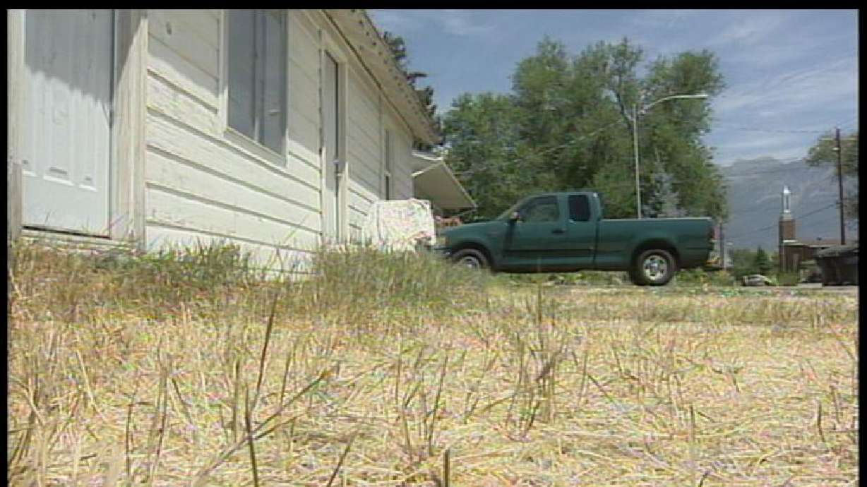 Brown Lawn Results in Charges Against Orem Woman