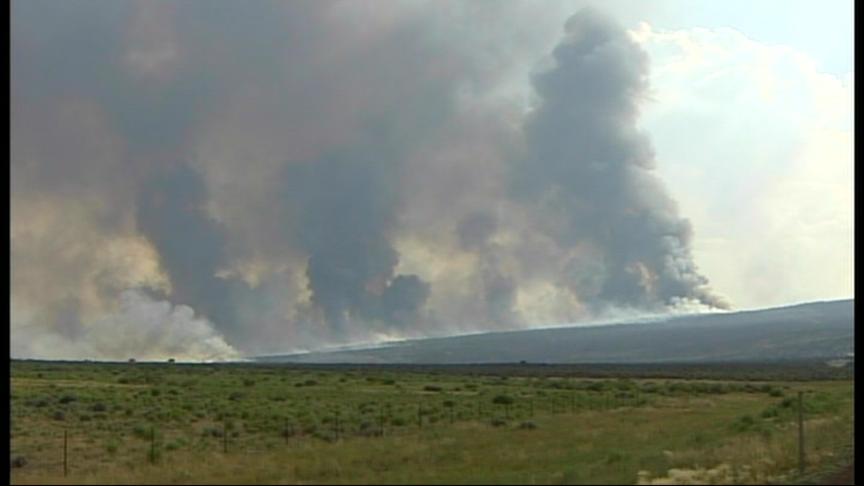 Utah Leading the War on Cheatgrass