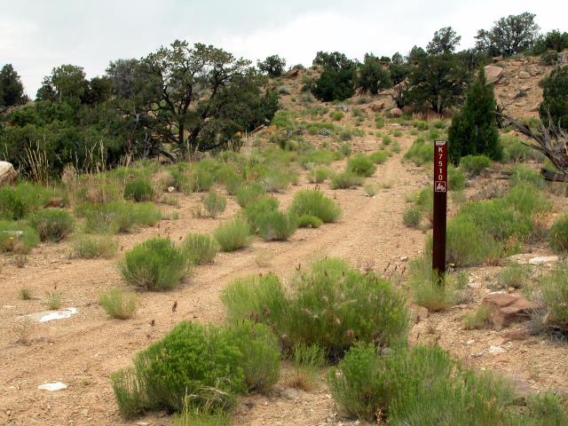 Grant will allow study of rural Utah towns