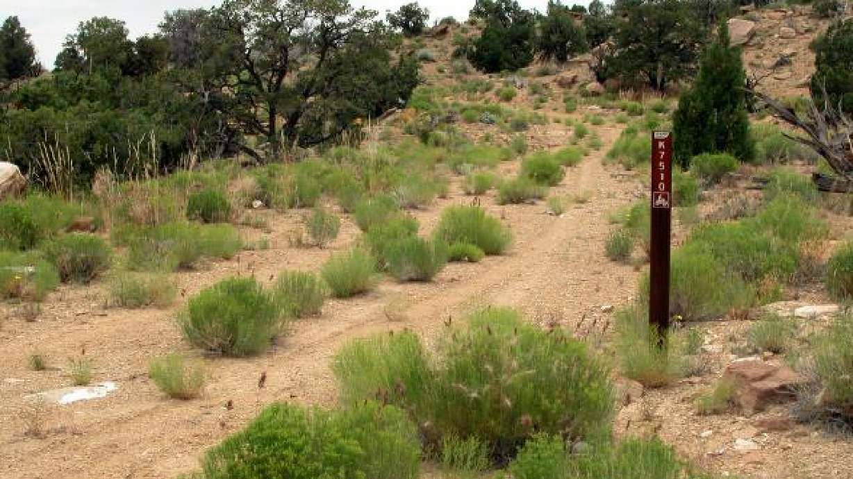 Utah, 3 counties file lawsuit over access to roads