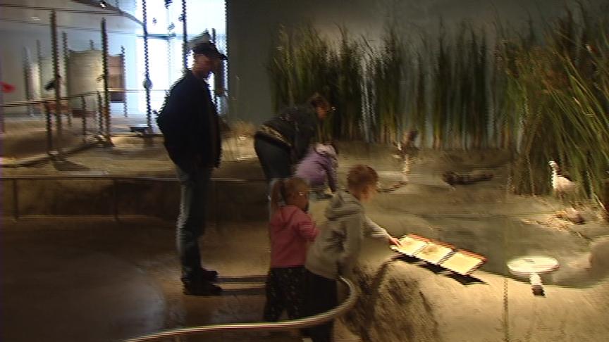 Wildlife Education Center Grand Opening this Weekend