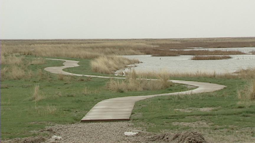 Wildlife Education Center Grand Opening this Weekend