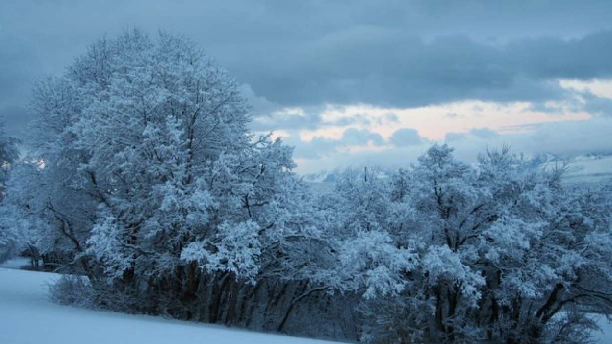 Cold and Hot Records