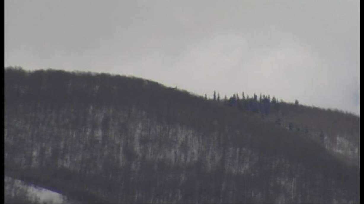 Missing Plane Found, Pilot Perished