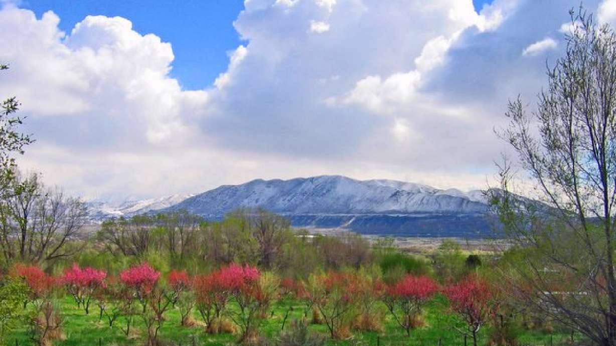 Spring in Utah 2006 - PartV