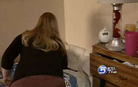 Bed Bugs Bite Provo Apartment Tenants