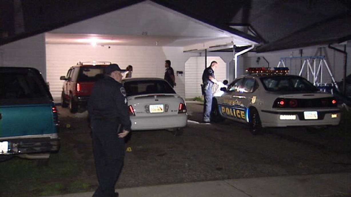 Suspect's Pit Bull Attacks Officers