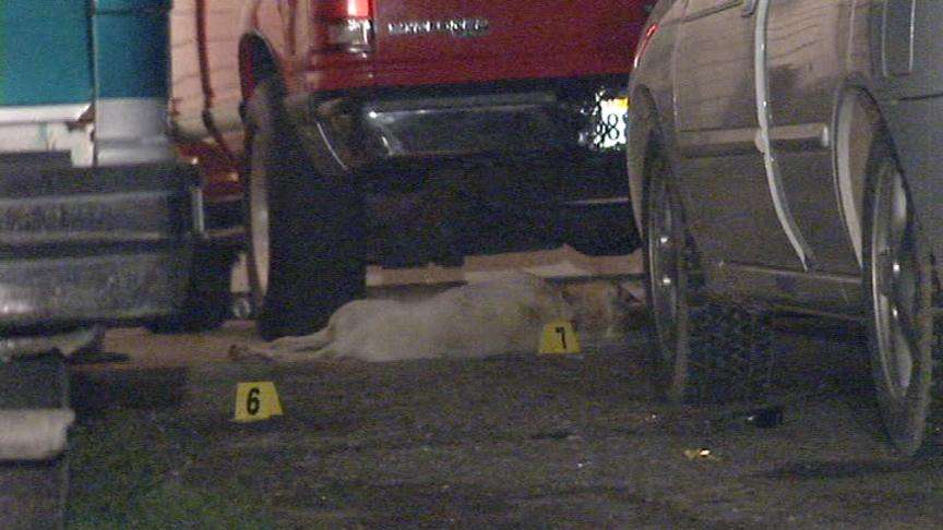 Suspect's Pit Bull Attacks Officers