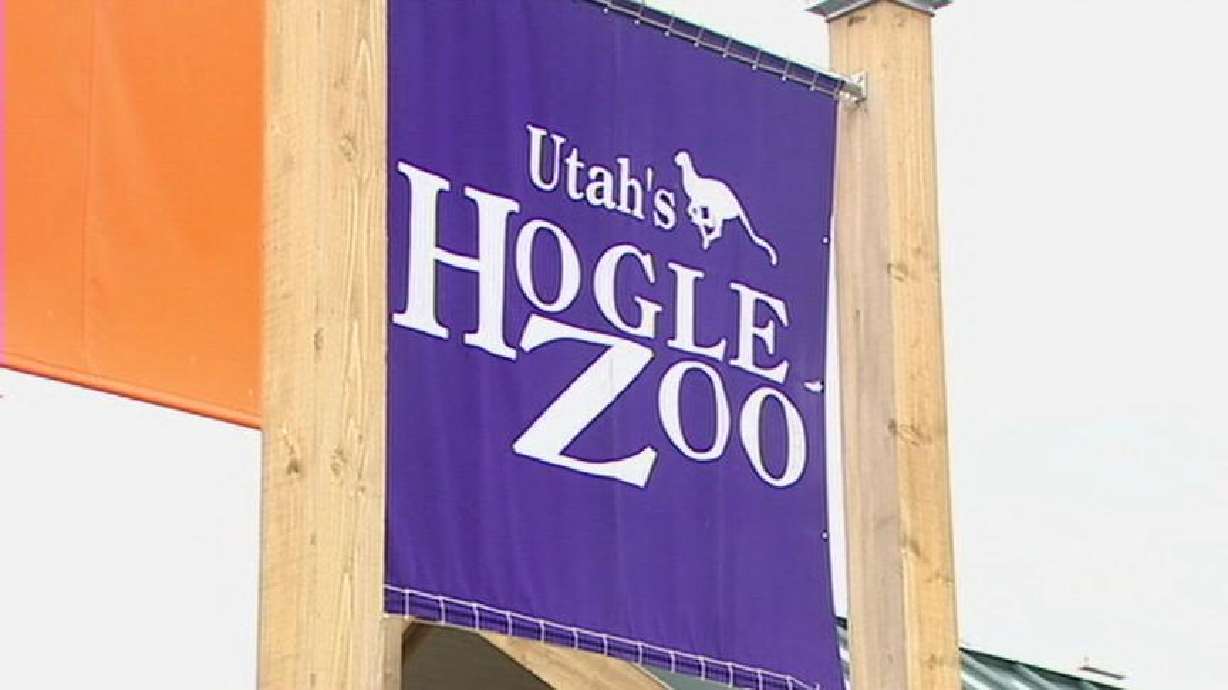 Zoo hopes baby elephant will boost attendance